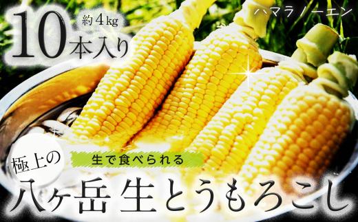 生で食べられる極上の 八ヶ岳 生 とうもろこし 5本入り 約1.7kg【2026年7月中旬～発送】| とうもろこし 生 生とうもろこし 野菜 新鮮 極上 信州 八ヶ岳 長野県 諏訪郡 原村