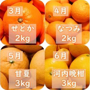 【発送月固定定期便】愛咲果樹園「旬の柑橘定期便」(11月～6月)【H71-34】全8回【4069715】