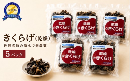 【佐渡産 乾燥きくらげ】20g×5パック アラゲキクラゲ 菌床栽培 佐渡赤泊の湧水で栽培 | 新潟県産きくらげ 佐渡産きくらげ 佐渡島産きくらげ きくらげ キクラゲ 木耳 アラゲキクラゲ 乾燥きくらげ 干しきくらげ 国産きくらげ 肉厚 きのこ 乾物 中華 にいがた さど 新潟県 佐渡市 [196031-0014]