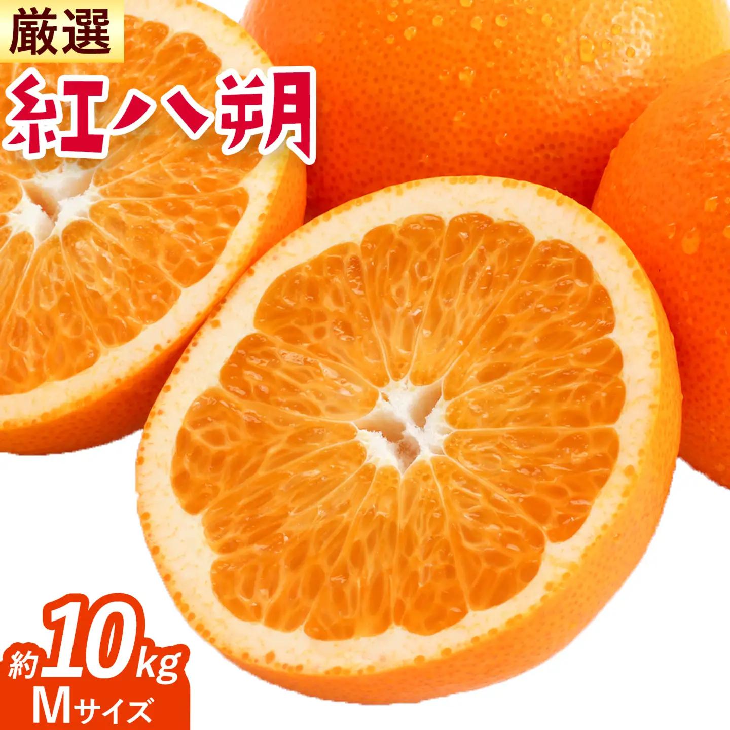 紅八朔 厳選 Mサイズ 約10kg GOGO農園 八朔