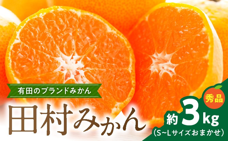 
                  ZD7030_【2026年先行予約】田村みかん 約 3kg S ～ L サイズおまかせ 秀品 甘味と酸味のバランス 濃厚 味 有田みかん 田村地区産 ブランド ミカン 高級みかん 贈答用 柑橘 フルーツ 果物 果実 デザート 国産 お取り寄せ 和歌山県 湯浅町 送料無料
                