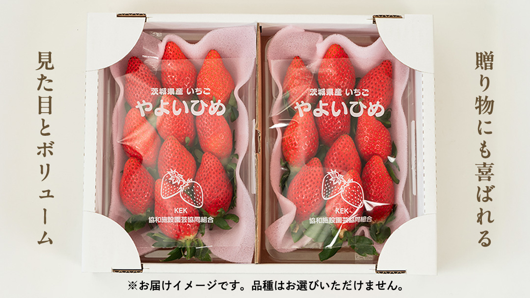 【2ヵ月 定期便】 完熟 いちご 4パック × 2回 合計 8パック （1P約260g） 国産 イチゴ 苺 果物 くだもの フルーツ かおり野 とちおとめ やよいひめ 茨城県産 KEK [BC074s