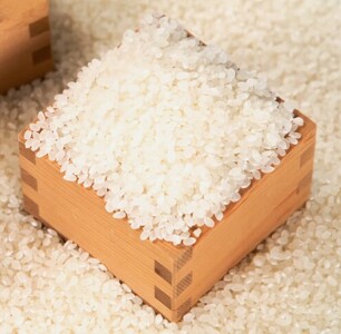 【６ヶ月定期便 】丹波コシヒカリ  (5kg × 6袋)