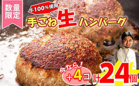 【数量限定】黒毛和牛入り 牛肉100％ 120g×20個+4個 