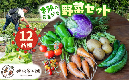 野菜セット(12品種) | 栃木県 下野市