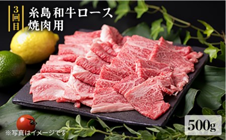 贅沢お肉の定期便全5回（月1回） 3人家族用 (福岡 糸島産 牛肉 豚肉 鶏肉 ステーキ しゃぶしゃぶ すき焼き ヒレ シャトーブリアン ロース)《糸島》【糸島ミートデリ工房】[ACA084] ステー