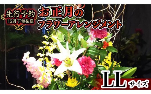 
                  【 お正月 の お花 】フラワー アレンジメント LL お正月 花 生花 縁起物 フラワーアレンジメント ギフト [CT054ci]
                