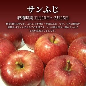 【青森直送 季節の味覚をお届け!】サンふじ 5kg×1箱(家庭用)青森産 産地直送 限定生産【配送不可地域：離島】【1700922】