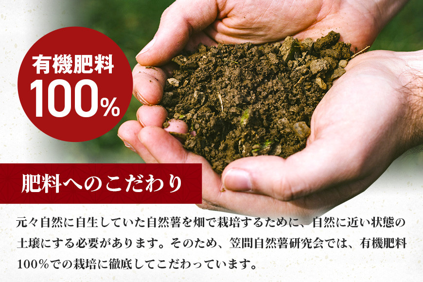 笠間自然薯研究会の自然薯カット 約600g 長芋 とろろ とろろご飯 野菜 ねばねば 健康食品 美容効果 笠間市産 茨木県産 栄養たっぷり ギフトに最適 新鮮 国内生産 高級根菜 美容と健康に 美味し