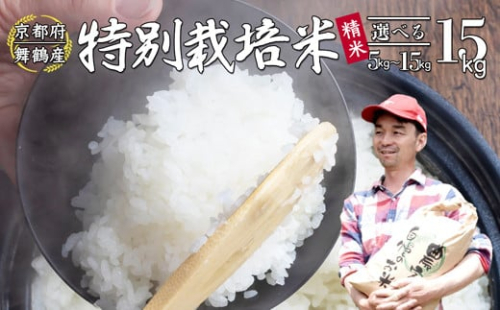 【令和7年度産】 棚田米 白米 15kg コシヒカリ 特別栽培米 精米 京都産 農家直送 こしひかり 減農薬 低農薬 お米 ご飯 米 棚田