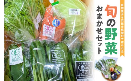 自然豊かな浜田市弥栄町で作られた「旬の野菜おまかせセット」 野菜 野菜セット 旬 詰め合わせ セット おまかせ おたのしみ ギフト 【065_0228】