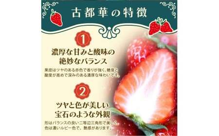 古都華　冷凍いちご　1kg  奈良県 葛城市【nsdf005】