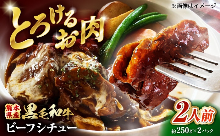 
                  熊本県産 くまもと黒毛和牛 こだわりのビーフシチュー 計2パック （約250g×2パック） ビーフシチュー ビーフ シチュー 牛肉 肉 【有限会社スイートサプライなかぞの】 1万円以下 10000円以下 [ZBV107]
                