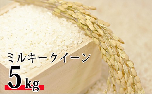 
                  令和6年環境こだわり近江米ミルキークイーン5kg（無洗米）
                