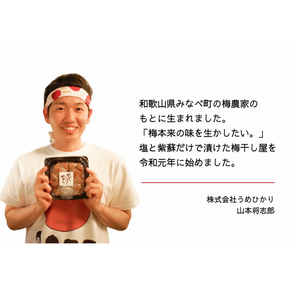 EP6021_【常温保管可能】天日塩と紫蘇だけで漬けた 無添加梅干し3kg 梅ボーイズ|南高梅 C203_イメージ4