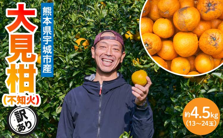 先行予約 熊本大見柑 (不知火) 訳あり 4.5kg (13～24玉)  【2027年2月上旬から2027年2月下旬発送予定】しらぬい みかん 蜜柑 柑橘 国産 九州 熊本 宇城市産 【株式会社la Nui.】