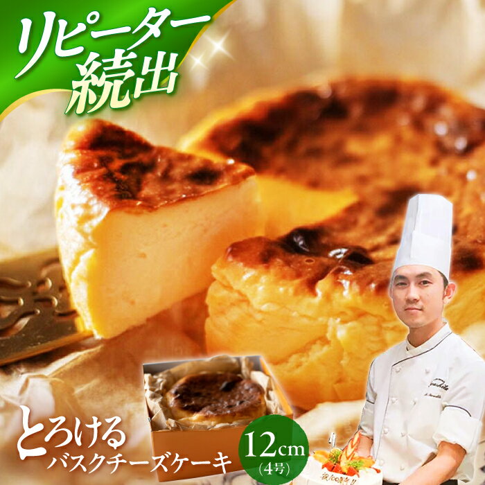 【ふるさと納税】【お中元対象】【お客さんの声から誕生！】いわしたの バスクチーズケーキ 1個 ＜お菓子のいわした＞[CAM068] 長崎 西海 チーズケーキ ケーキ お祝い 誕生日 記念日 贈答 ギフト 熨斗 9000円 9千円 10000円 1万円
