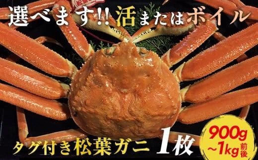 
            【早期受付】【選べます！活またはボイル】タグ付き松葉ガニ 特大1枚（900g～1kg前後）※着日指定不可※2025年11月上旬頃から順次発送予定 ｜ 蟹 かに 松葉ガニ 松葉蟹 タグ付き 鳥取県産 北栄町 おすすめ 人気
          