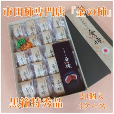 【先行受付】【市田柿専門店　金の柿】黒箱「特秀品」2Lサイズ20個入り 3箱セット