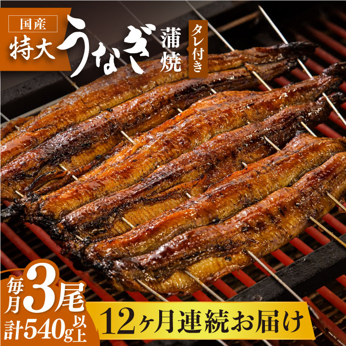 【12回定期便】板前こだわりの国産うなぎ蒲焼 3枚セット【丸安】 [FAD008]