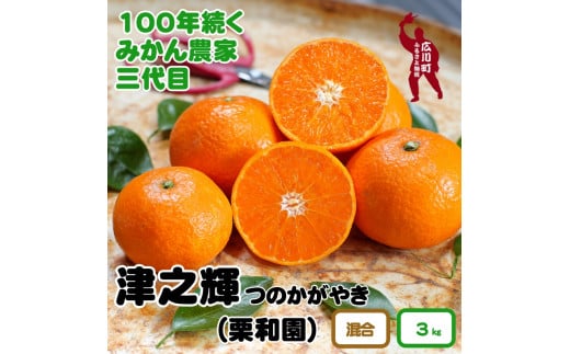 津之輝 3kg サイズ混合 有田産 ※2月中旬頃～4月上旬頃に順次発送予定 / みかん 柑橘 果物 和歌山 【krw020-r-3】