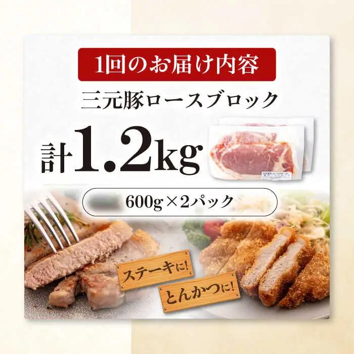 【全12回定期便】平田牧場 ロース ブロック 1.2kg (600g×2P)  豚肉 ローストポーク 煮豚 [AJAP101]