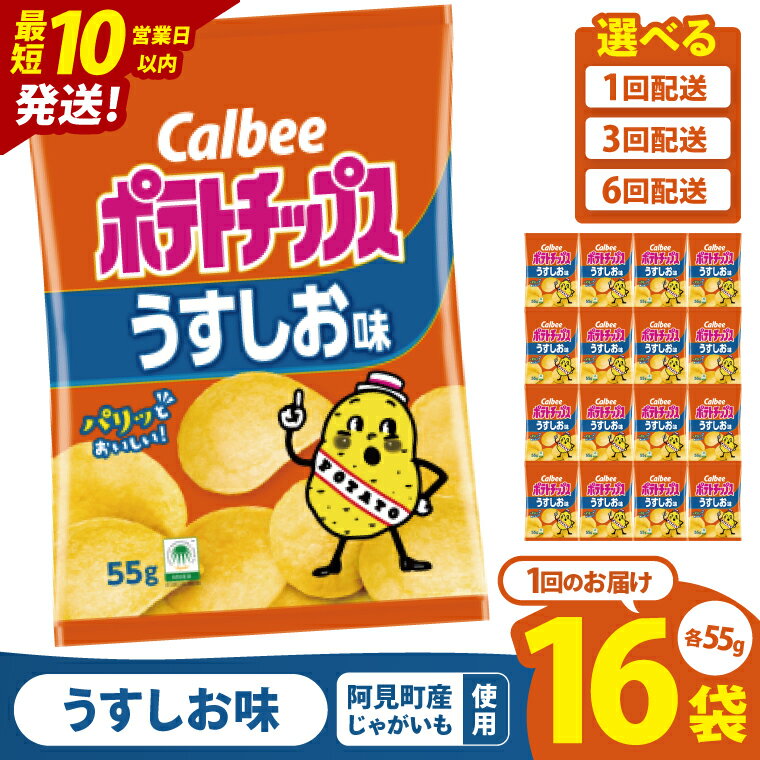 【ふるさと納税】【10営業日以内に出荷】カルビー ポテトチップスうすしお味（55g） 16個｜Calbee お菓子 菓子 おやつ おかし ぽてち ポテチ スナック おつまみ ジャガイモ じゃがいも（93-01）