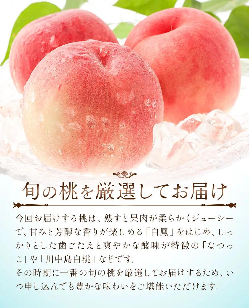 桃 秀品 モモ 2kg (5-7玉前後) 株式会社農業福祉研究機構《6月下旬-8月上旬頃出荷》和歌山県 紀の川市 送料無料 フルーツ 果物 もも 白鳳 なつっこ 川中島白桃 旬 旬のフルーツ お取り寄