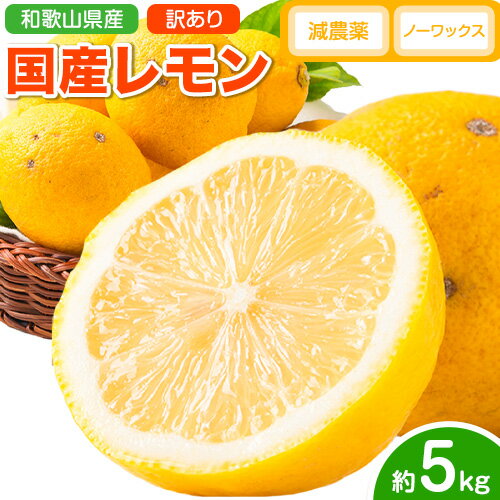 【ふるさと納税】【先行予約】レモン 訳あり 国産 レモン 5kg (サイズ混合) ノーワックス 減農薬 どの坂果樹園《2026年2月上旬-5月末頃より出荷》 和歌山県 日高川町 レモン れもん 檸檬 家庭用 旬 新鮮 果物 柑橘 フルーツ 訳あり 大容量 Lemon remon 送料無料