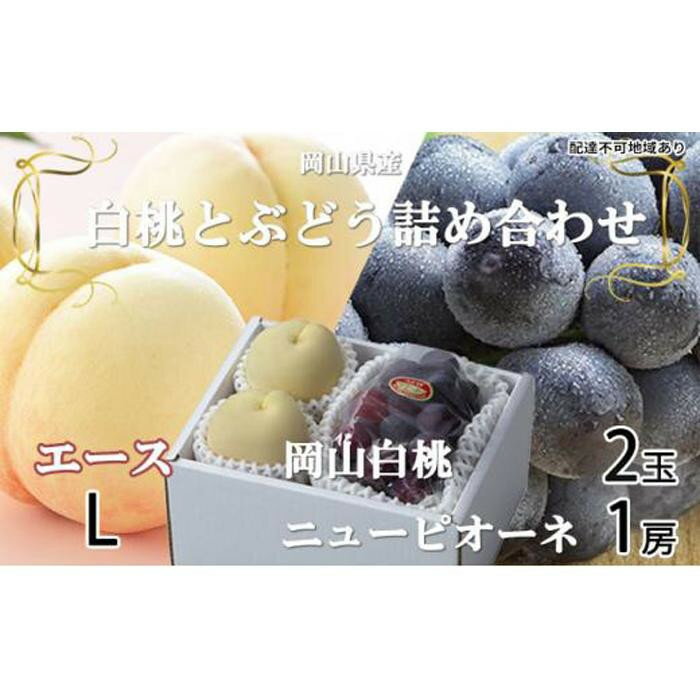 【ふるさと納税】【内容量が選べる】2026年 岡山白桃 エース2玉×約200g（Lサイズ）ニュー ピオーネ 1房約400g～岡山白桃 エース2玉×約300g（3Lサイズ）ニューピオーネ1房約600g | フルーツ 果物 くだもの 食品 人気 おすすめ 送料無料