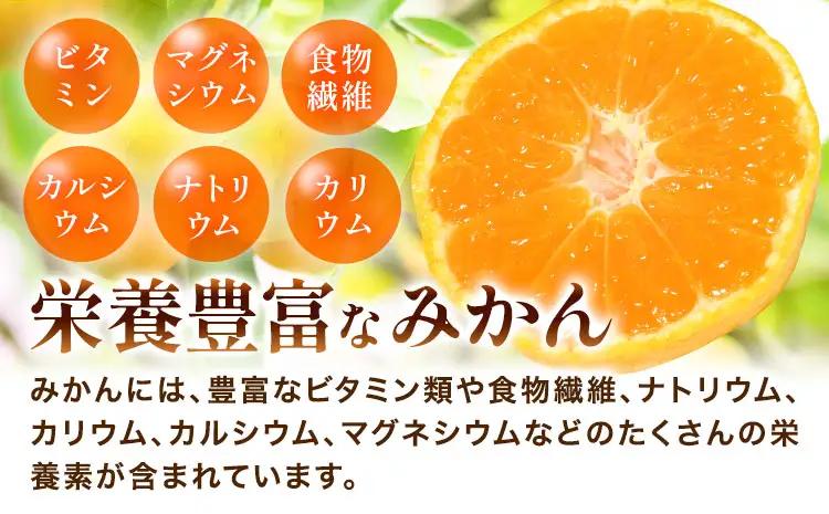 みかん 極早生みかん YN26 約5kg