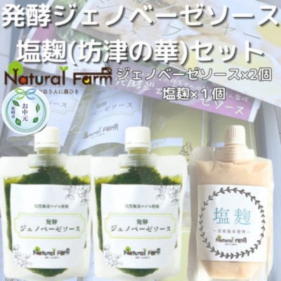 【のし付き・お中元】発酵ジェノベーゼソース＆塩麹A5-11C【配送不可地域：離島】【1509454】