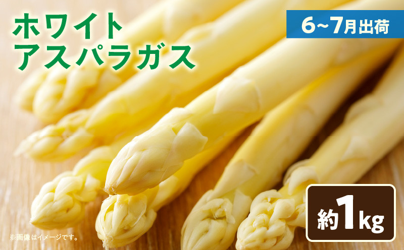 
            ホワイトアスパラガス約1kg（6～7月出荷）_mk002-003
          