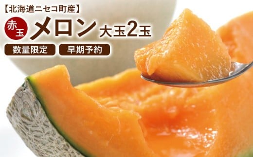 【北海道ニセコ町産】赤肉メロン大玉2玉　＜数量限定・2026年早期予約・7月下旬より出荷予定＞