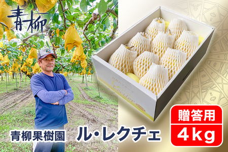 【2026年先行予約】新潟特産 幻の洋梨ル・レクチェ 贈答用 4kg（9～11玉）《11月下旬～順次発送》