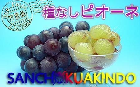 《2025年発送》ニューピオーネ 秀品 2kg ( 約3 ~ 5房 )  ｜ぶどう 香川産 人気品種