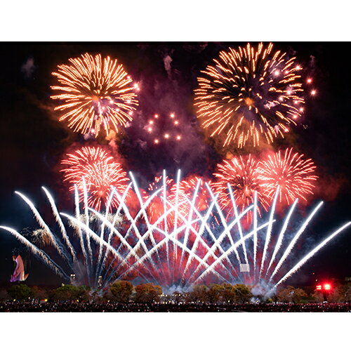 【ふるさと納税】第4回 万博夜空がアートになる日 花火鑑賞チケット ダイナミックシート（1名様分）