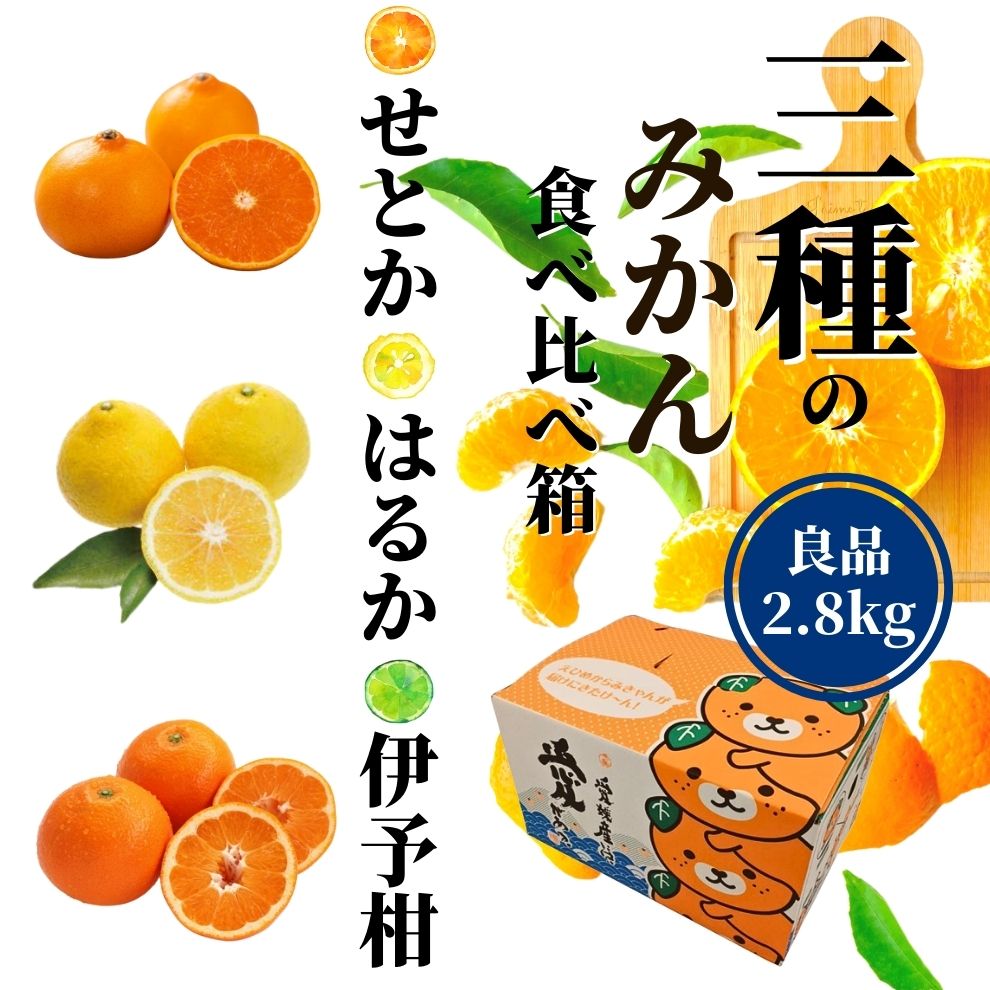 【ふるさと納税】 ＜2026年2月頃発送＞ 【先行予約】 【三種のみかん食べ比べ箱】 せとか・はるか・宮内伊予柑 （良品）2.8kg ＜2025年2月頃発送＞ | 愛媛 みかん 先行予約 蜜柑 柑橘 果物 くだもの フルーツ お取り寄せ グルメ 期間限定 数量限定 人気 おすすめ 愛媛県 松山