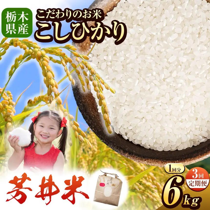 【定期3回】令和8年度産 新米 那珂川町産芳井米 3kg×2｜栃木県 那珂川町 送料無料