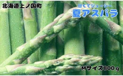 【2026年夏発送】寅福菜園の朝採り夏アスパラ　M（800g）　朝採れ　農家直送　新鮮　グリーンアスパラ　夏野菜　旬野菜　シャキシャキ　とれたて　北海道産