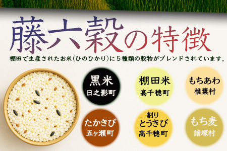 【6回定期便】【雑穀米】藤の花色に染まる美しい六穀米《藤六穀》300g×2袋 6回配送【世界農業遺産 高千穂郷・椎葉山地域】雑穀米 定期便 うるち米 たかきび 挽割とうもろこし もちあわ もち麦 黒米