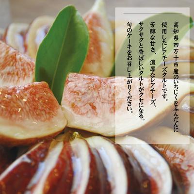 ふるさと納税 四万十市 【早期受付・数量限定】いちじくたっぷりのレアチーズタルト【2025年8月中旬〜9月下旬配送】 |  | 02