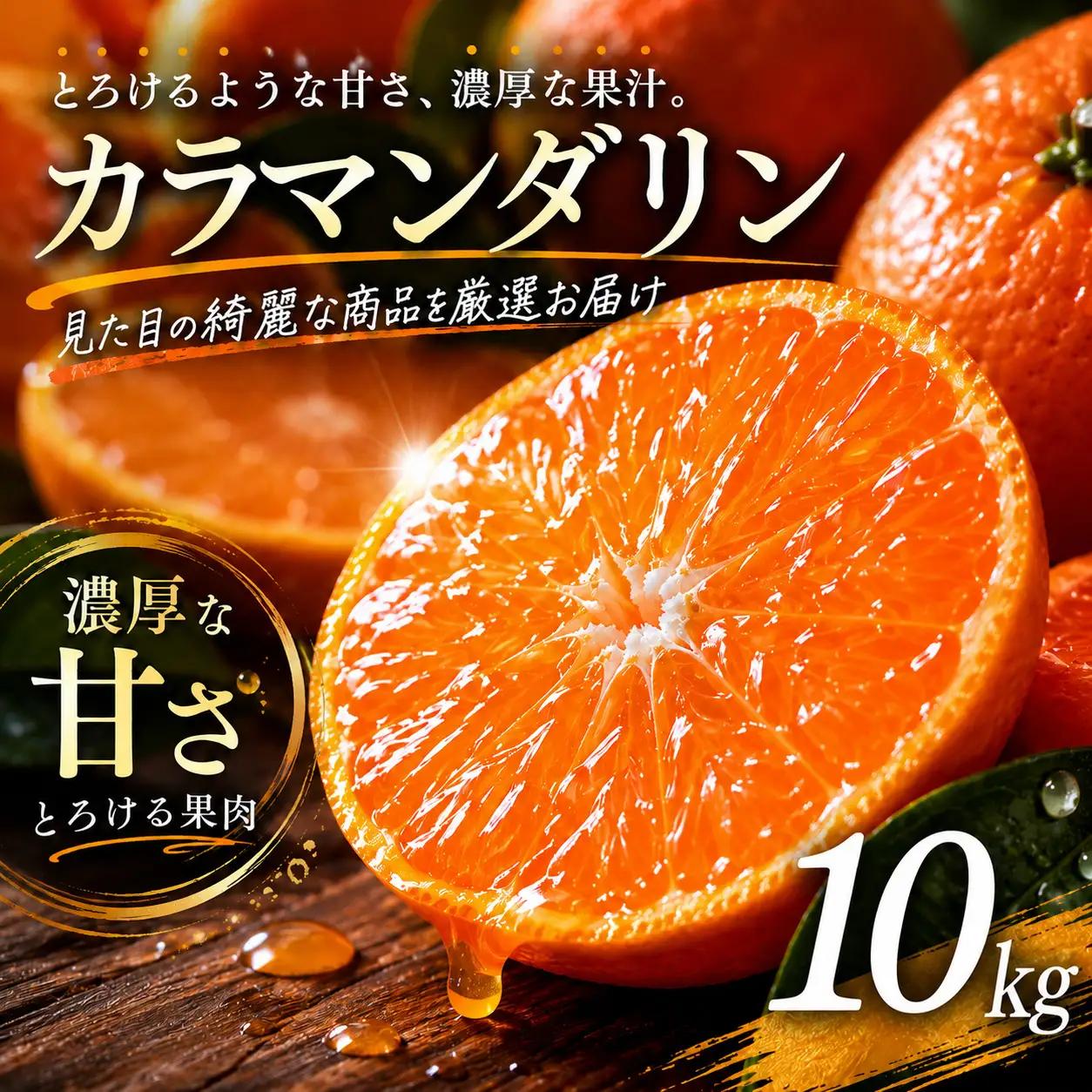 【2027年4月上旬頃から順次発送】カラマンダリン 家庭用 10kg | みかん 蜜柑 mikan 柑橘 果物 愛媛のみかん くだもの 贈答 フルーツ ご家庭用 数量限定 愛媛県産 ミカン 愛媛県 松山市 【MKN012】
