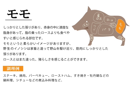 【ジビエ】平戸いのしし モモブロック肉(1.3kg以上)  / 猪肉 イノシシ 人気　
