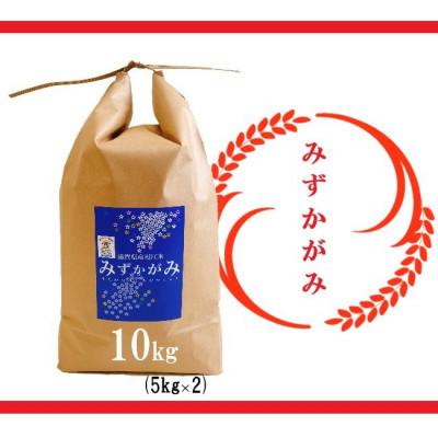 ふるさと納税 竜王町 令和7年産　近江米【みずかがみ10kg】