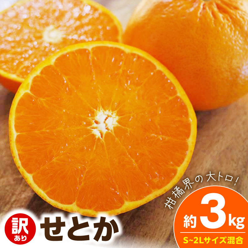 【2027年先行予約】《訳あり 家庭用》せとか 約3kg（S～2Lサイズ混合）_EQ6001