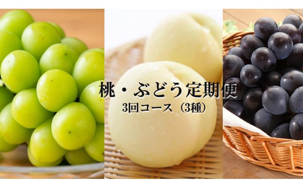 桃 ぶどう 定期便 2025年 先行予約 晴れの国 岡山 の フルーツ 定期便 3回コース もも モモ 葡萄 ブドウ 岡山県産 国産 セット ギフト