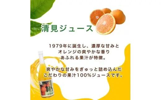 清見ブレンドジュース ストレート 720ml × 4本 中山農園 みかん 蜜柑 果実ミックスジュース 清見 プリンセス 甘平 果物 みかんジュース ストレートジュース オレンジジュース 100％ フル