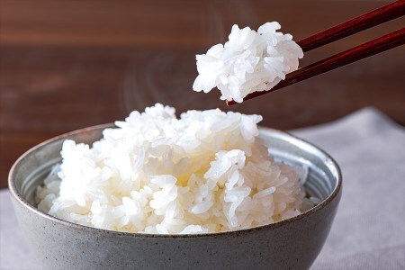 【阿蘇小国産】令和5年 田代さんの美味しいお米20kg（玄米）