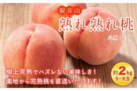 【先行予約】桃 もも 観音山熟れ熟れ桃（白鳳）2kg 有限会社柑香園《2025年7月中旬-8月中旬頃出荷》和歌山県 紀の川市 フルーツ 果物 桃